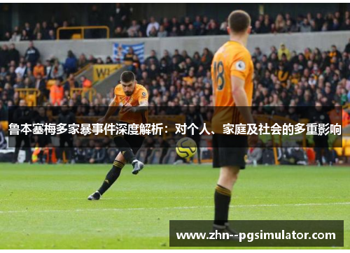 鲁本塞梅多家暴事件深度解析：对个人、家庭及社会的多重影响