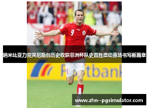 纳米比亚力克突尼斯创历史收获非洲杯队史首胜震动赛场书写新篇章